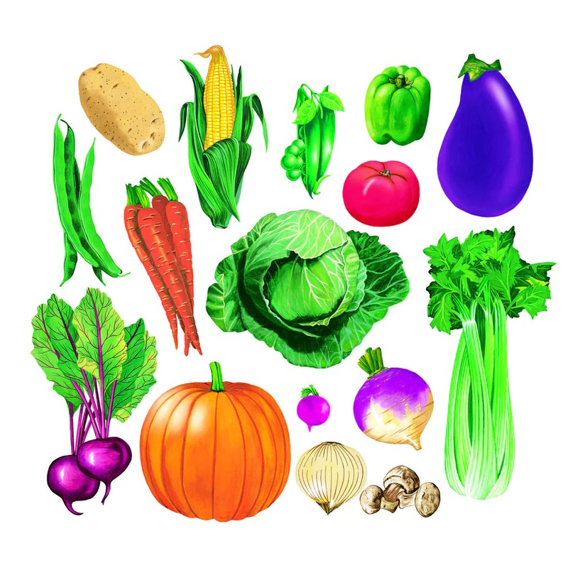 Vegetables – Felt