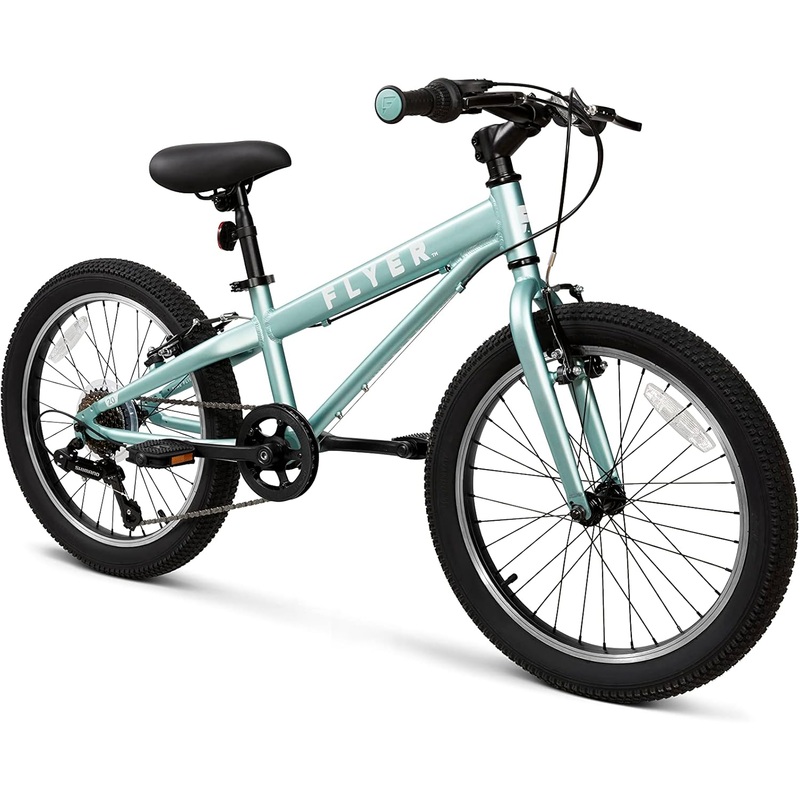 Radio Flyer Flyer 20″ Kids Bike, Teal
