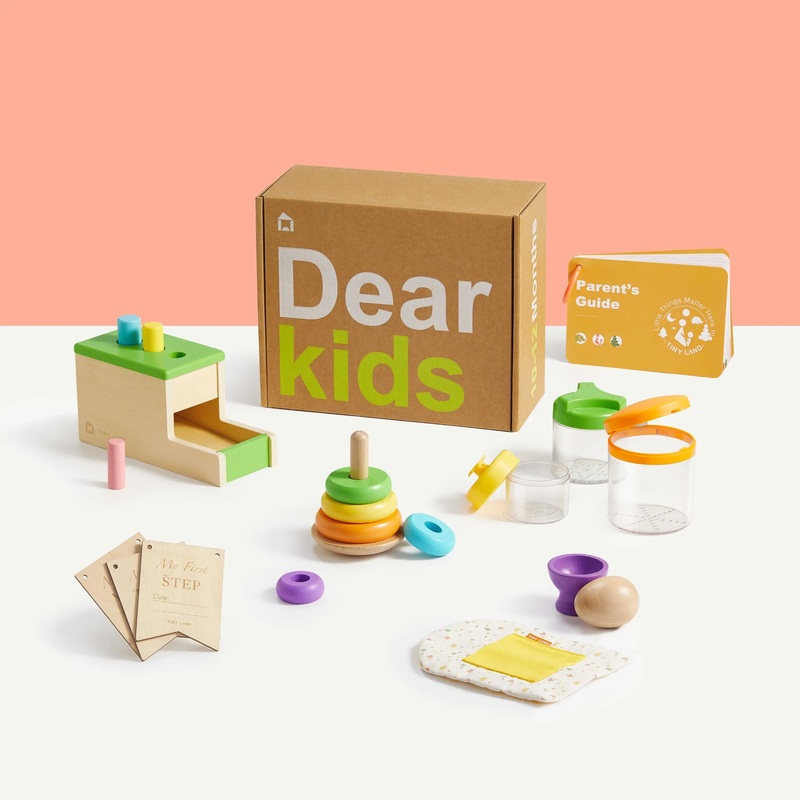 Tiny Land Montessori Toys Set for Infants (10-12 month)