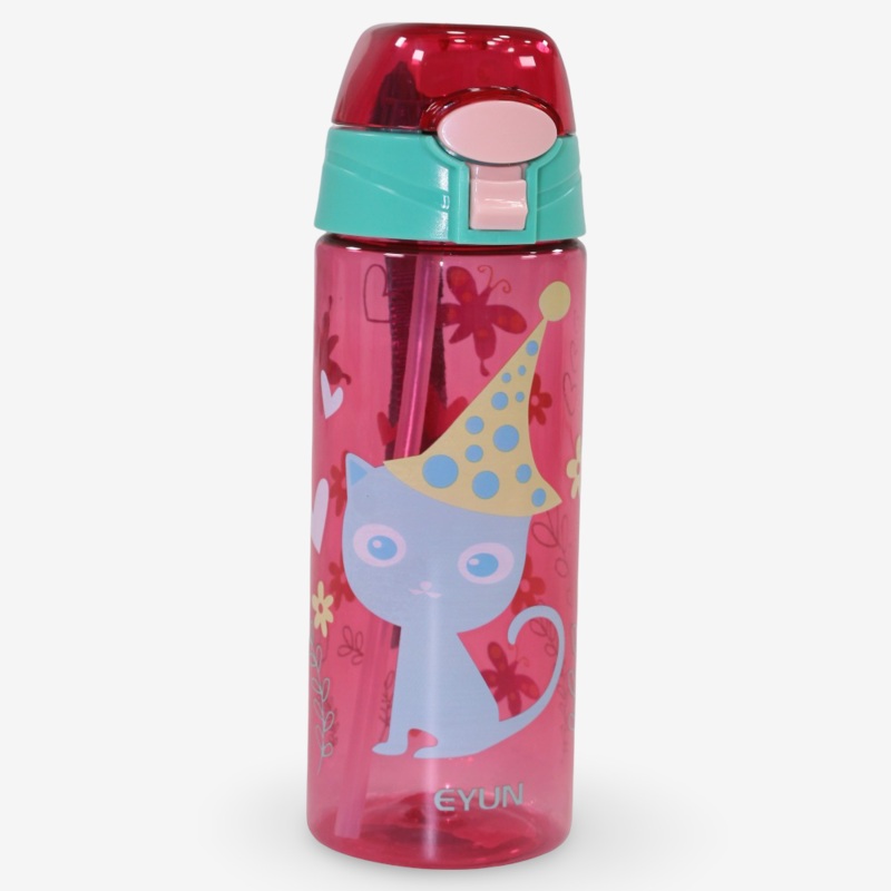 Plastic Water Bottle  Fun Cat Design (600ml)