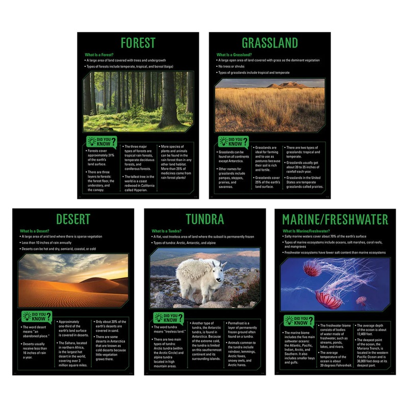 Ecosystems 5-Poster Set
