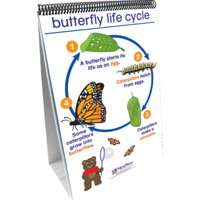 Early Childhood Science Readiness Flip Charts, All About Animals