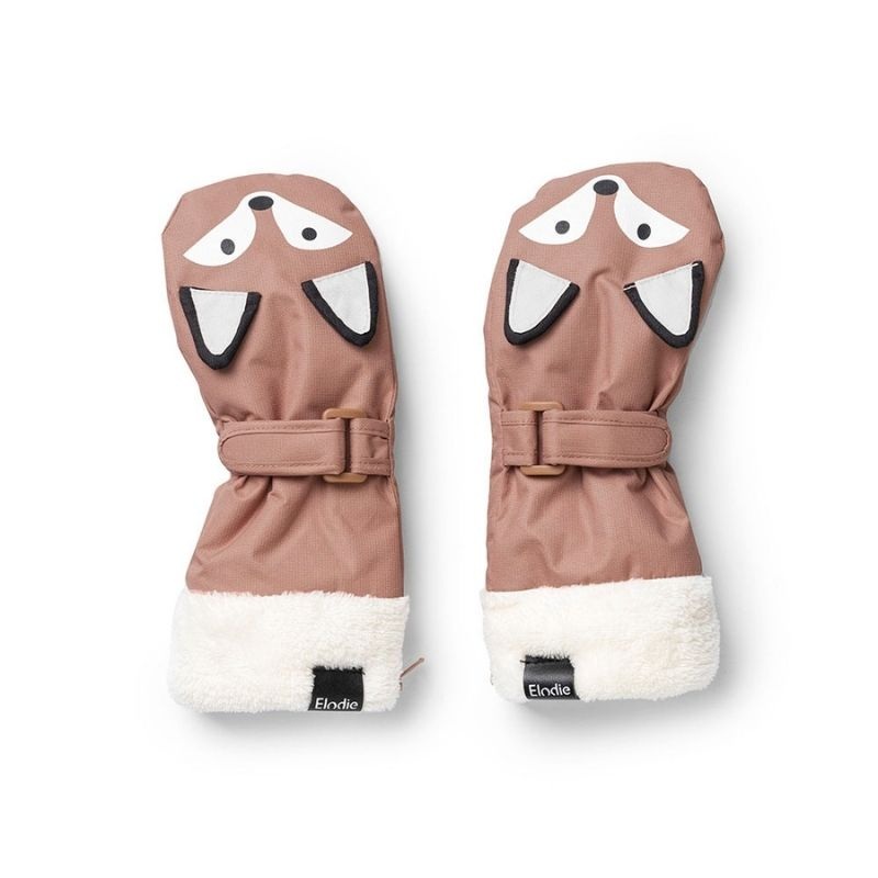 Winter Mittens