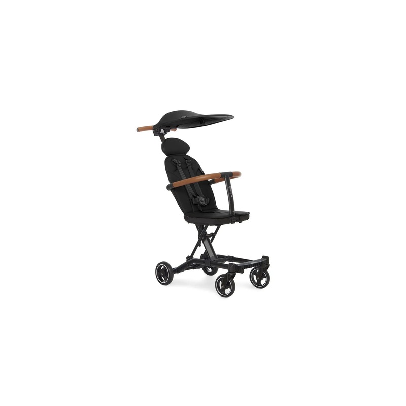 Cruise Rider Stroller with Canopy – Black