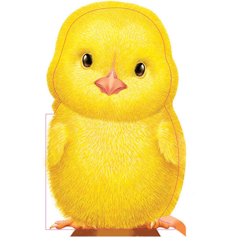 Furry Chick