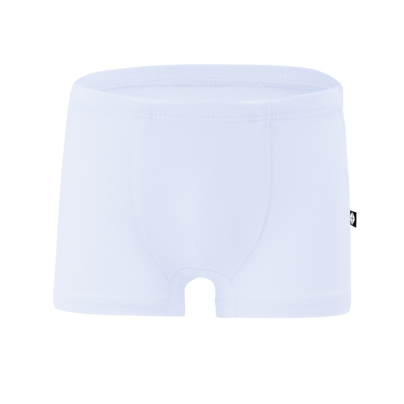Briefs in Mist