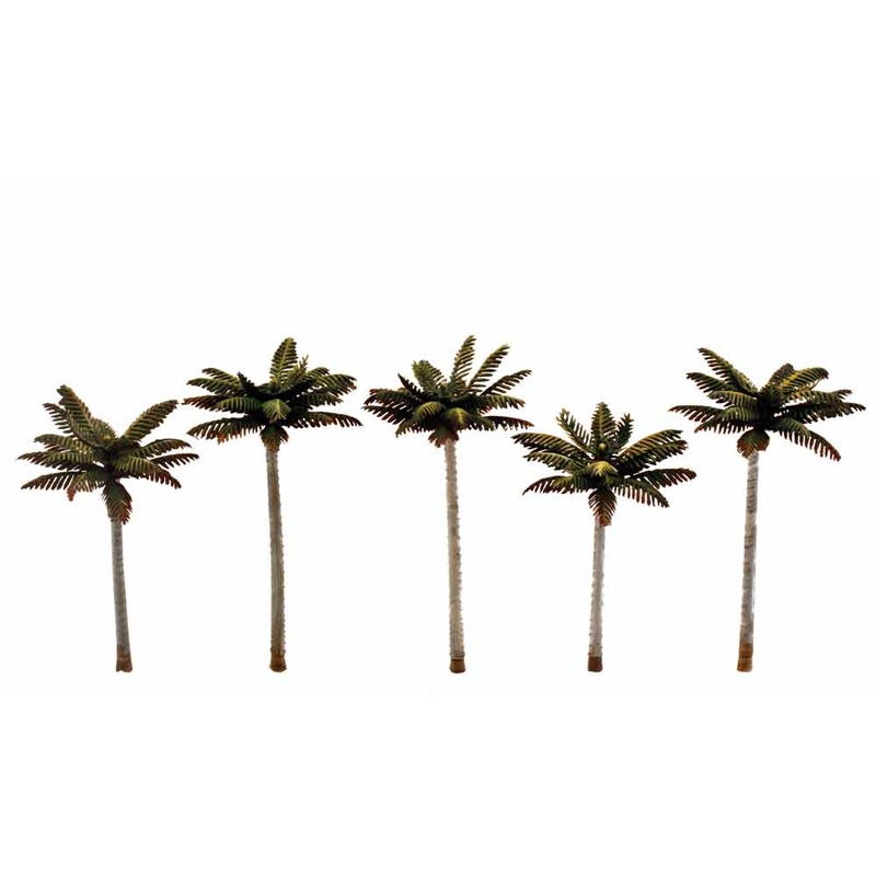 Palm Tree