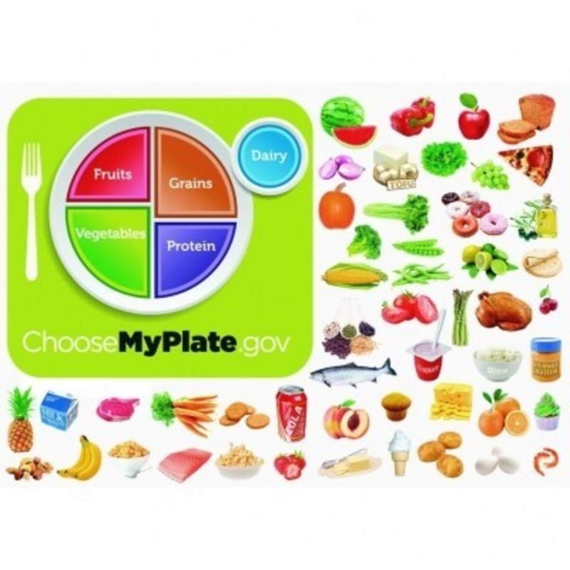 MyPlate Flannelboard Set