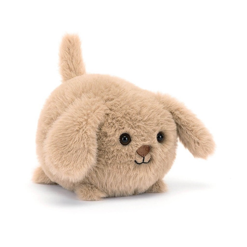 Puppy Caboodle