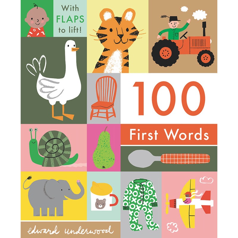 100 First Words Book