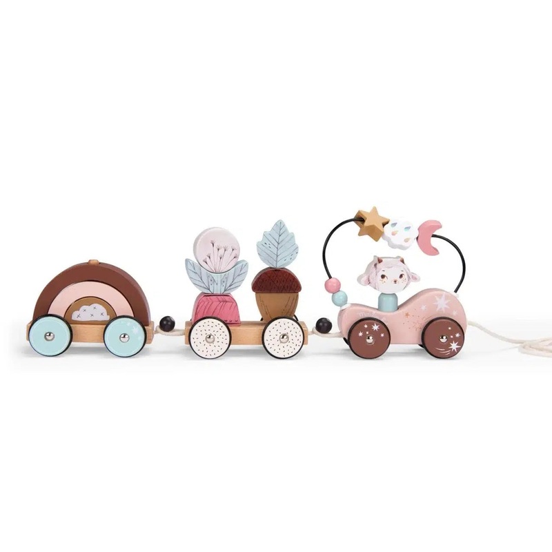 Speedy Monkey (Moulin Roty) – Wooden Pull Along Activity Train