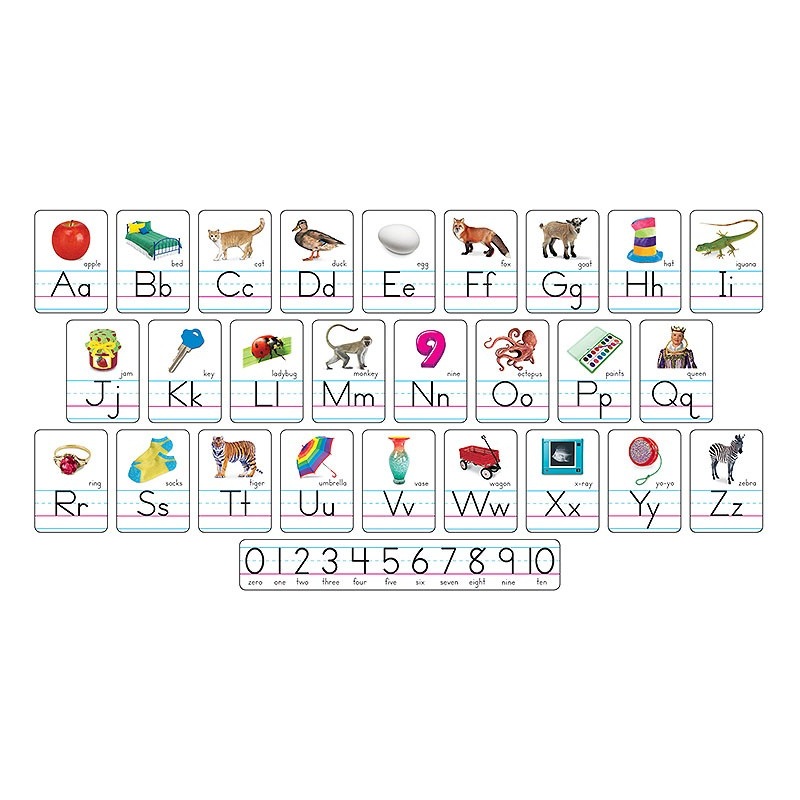 Photo Alphabet Cards Zaner-Bloser Manuscript Bulletin Board Set