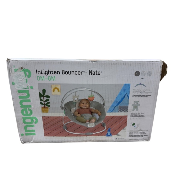 Ingenuity Inlighten Bouncer, Nate