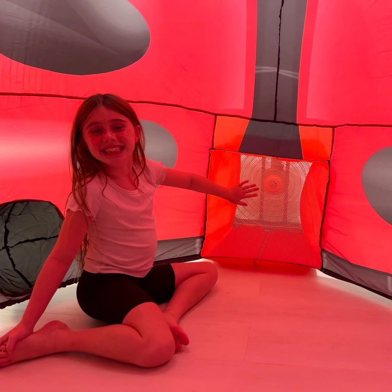 The Original AirFort – Ladybug