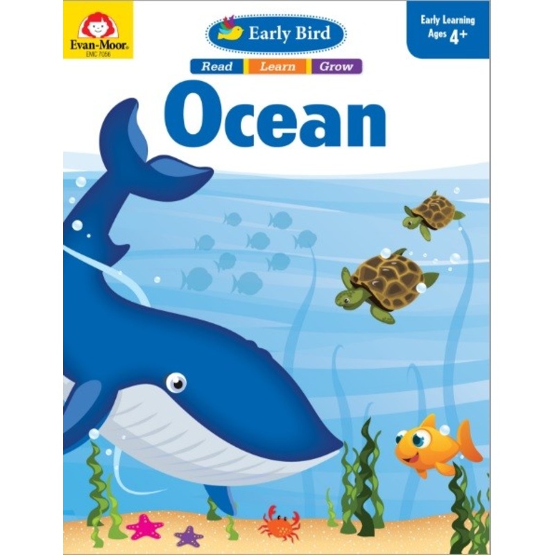 Early Bird: Ocean