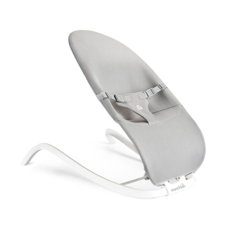 Spring 2-in-1 Bouncer & Rocker