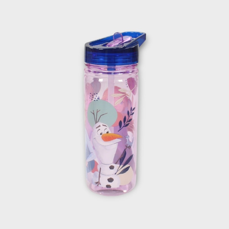 Frozen 580 ML Large Ecozen Bottle