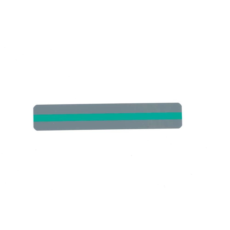 Sentence Strip Reading Guides, Green