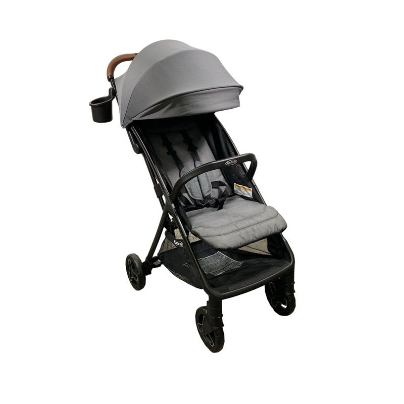 Graco Ready2Jet Stroller, 2024, Kingston
