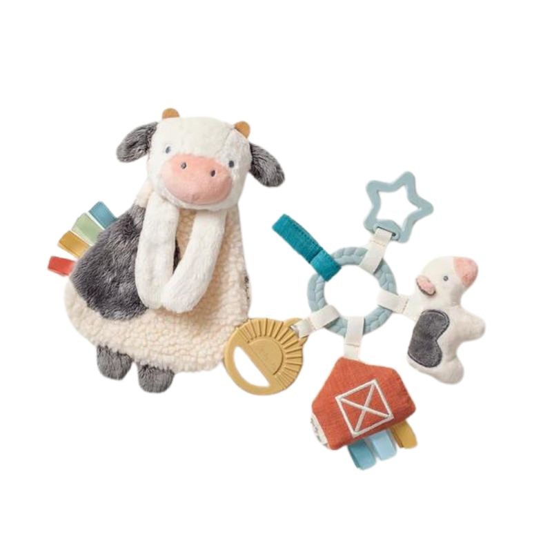Bitzy Busy Gift Set