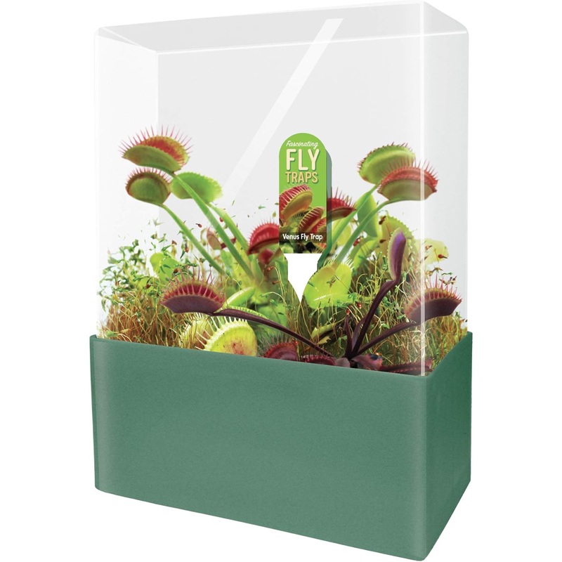 Grow Your Own Venus Fly Trap – Complete Kids Terrarium Kit to Plant Fascinating Man Eating Fly Traps