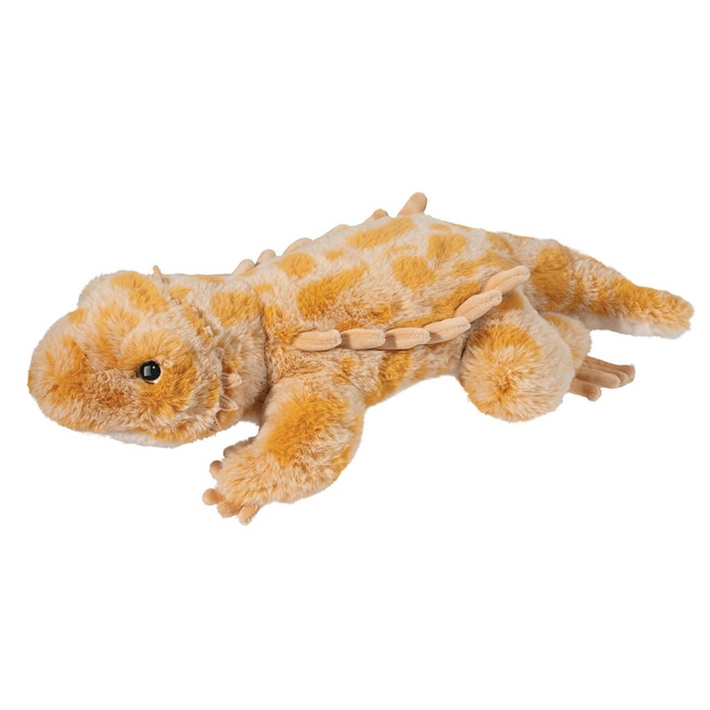 Soft Bearded Dragon Boogie