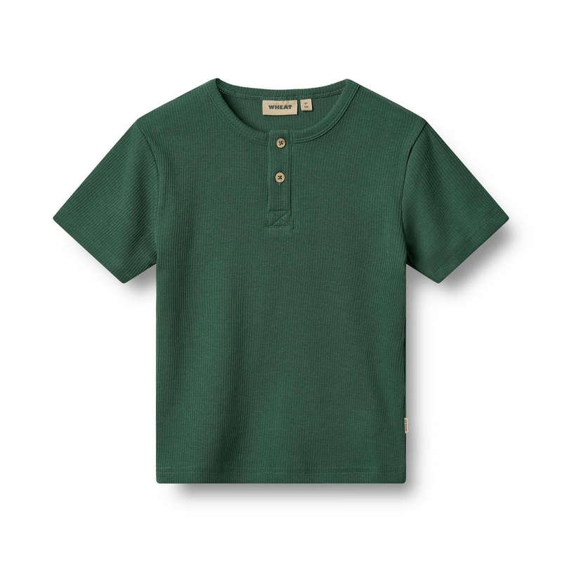Wheat Lumi Short Sleeve T-Shirt – Green