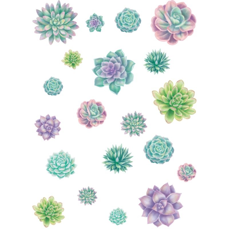 Rustic Bloom Succulent Accents – Assorted Sizes(C)