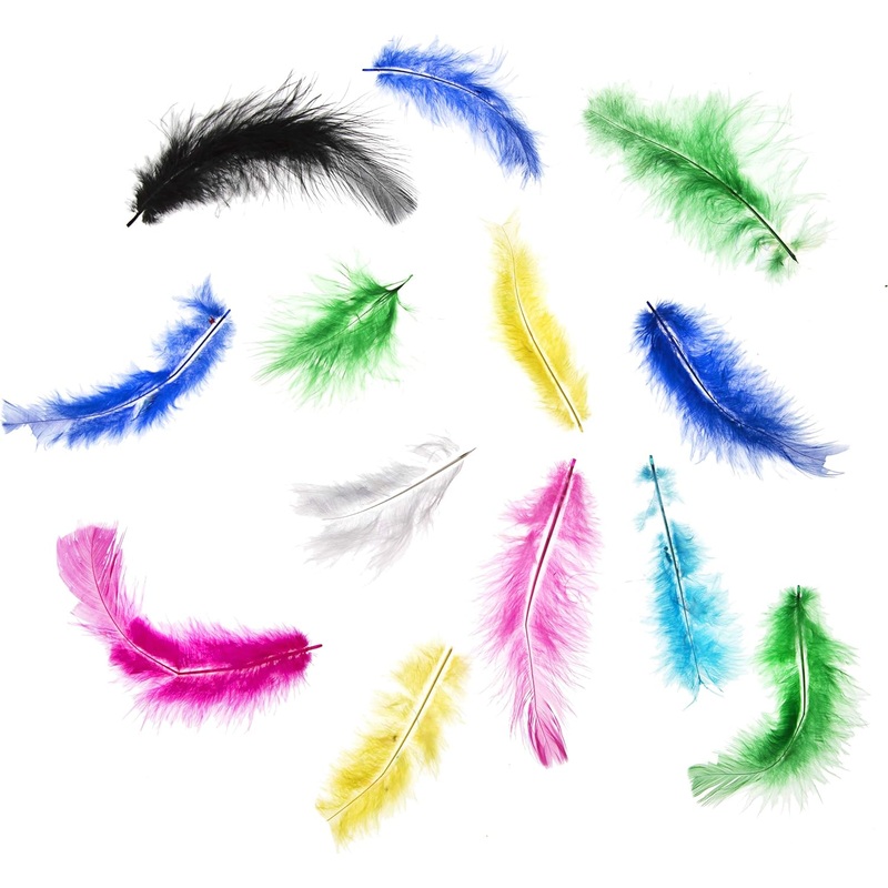 BRIGHT FEATHERS FUN PK (DISC)