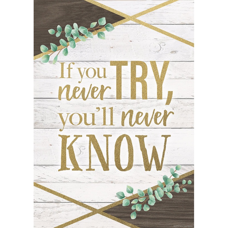 If You Never Try, You’ll Never Know Positive Poster
