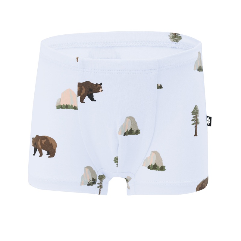 Briefs in Yosemite