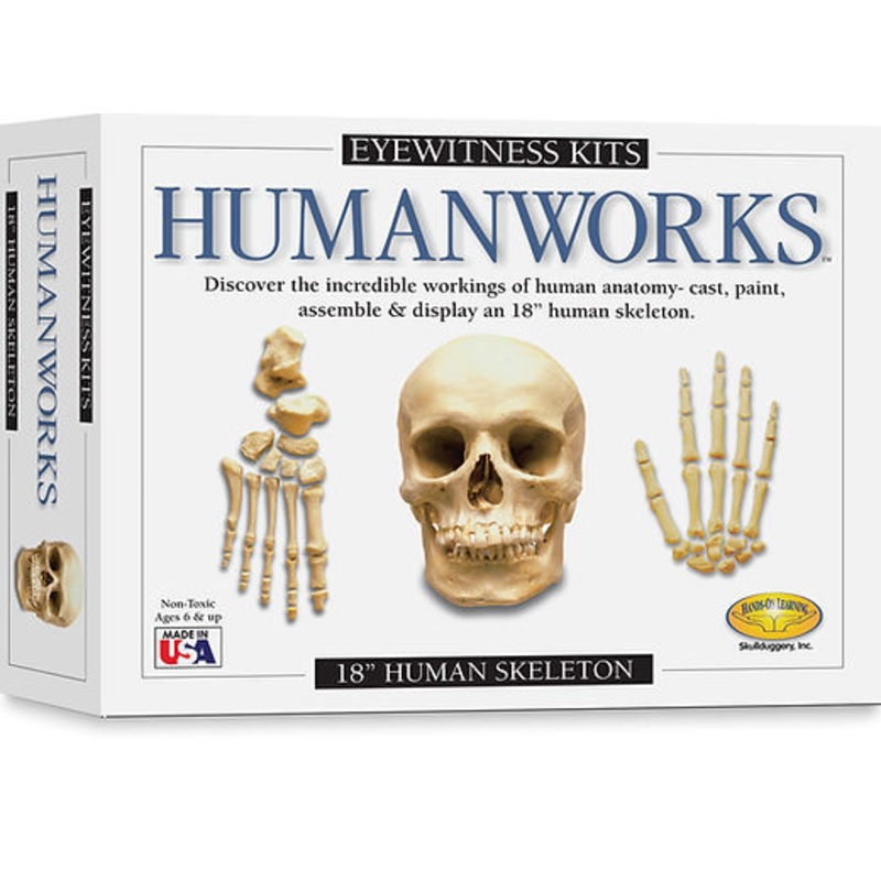 Eyewitness Kits Humanworks