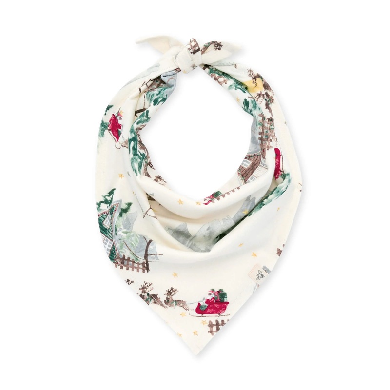 Burt’s Bees Holiday Matching Pet Bandana Gingerbread Fair Isle